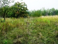 For sale building lot Kecskemét, 3000m2